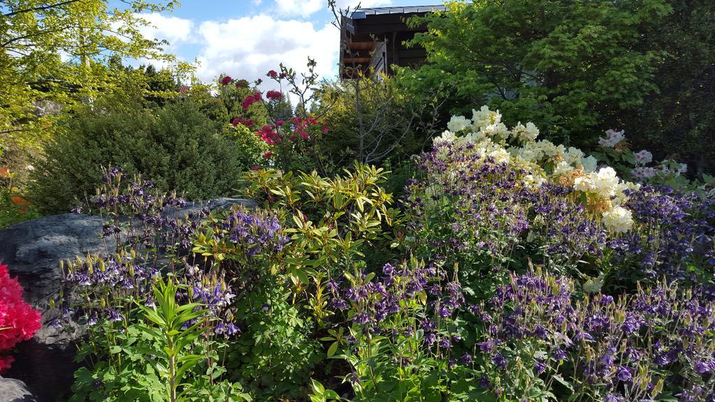 Marie Therese Apartment B&B Lake Tekapo Exterior photo