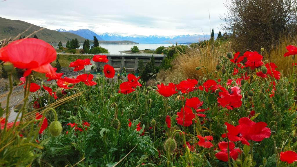 Marie Therese Apartment B&B Lake Tekapo Exterior photo